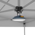 Canopy Light
