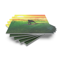 UltraBoard